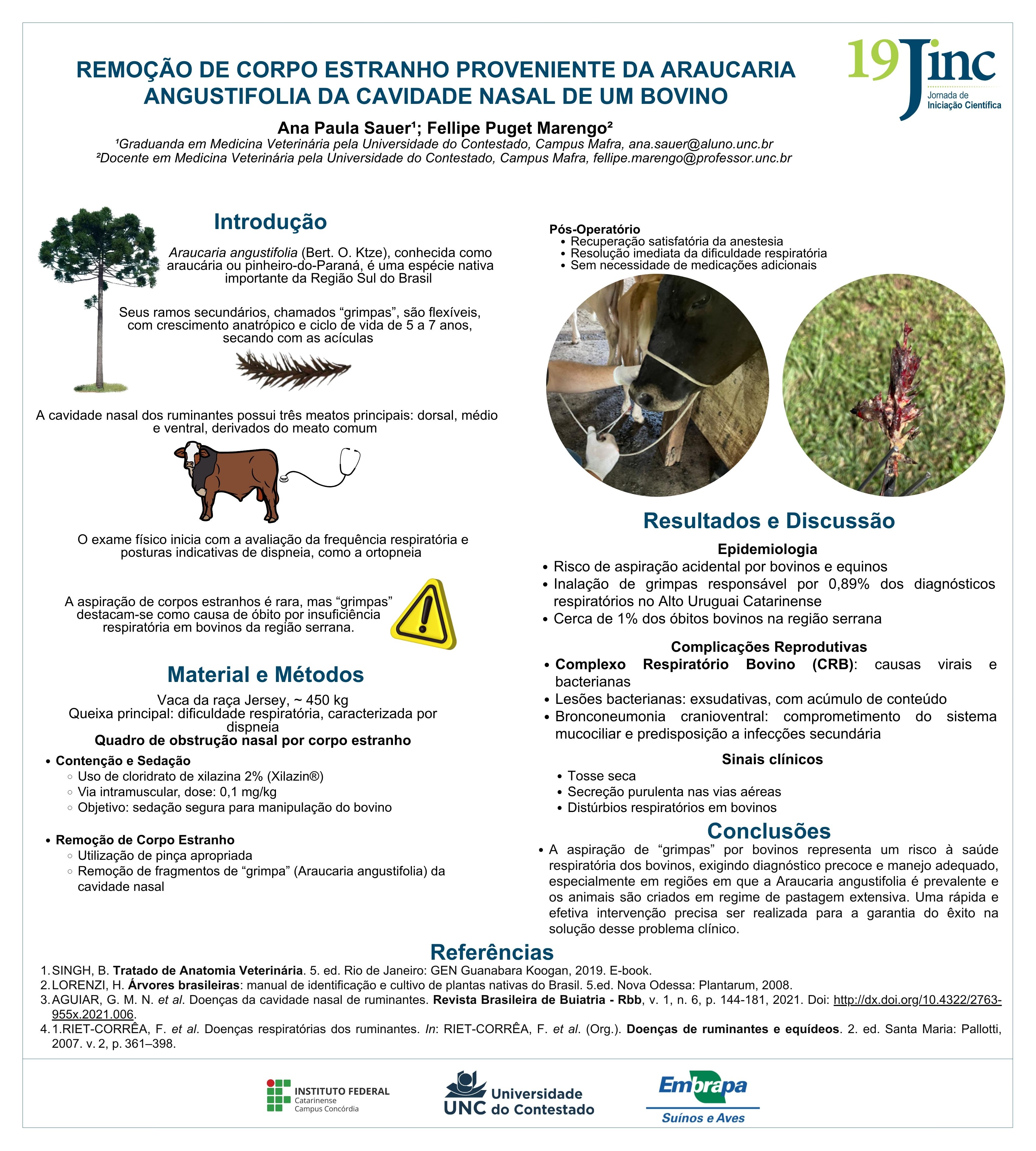 REMOÇÃO DE CORPO ESTRANHO PROVENIENTE DA ARAUCARIA ANGUSTIFOLIA DA CAVIDADE NASAL DE UM BOVINO